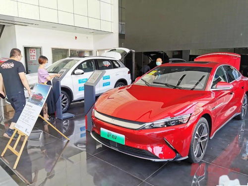 新能源車(chē)補(bǔ)貼退坡調(diào)查 市場(chǎng)終端火爆，車(chē)企策略分化，今年銷(xiāo)量劍指600萬(wàn)輛