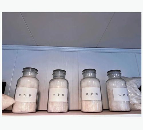 寶升家紡 年產(chǎn)20萬(wàn)件羽絨制品項(xiàng)目 助跑 預(yù)計(jì)年產(chǎn)值同比增長(zhǎng)233