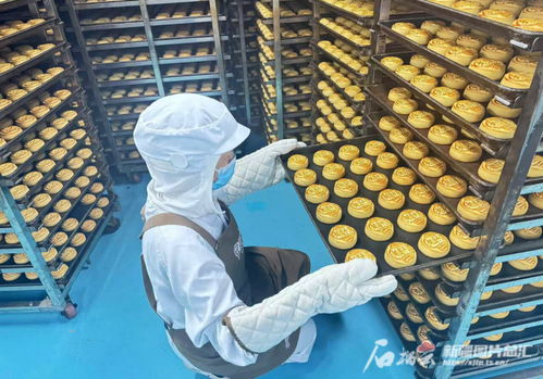 中秋佳節(jié)將至，烏魯木齊食品與羽絨制品企業(yè)雙線并進(jìn)迎忙季